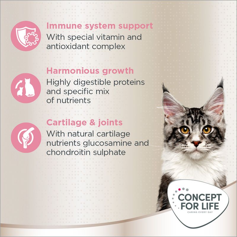 Concept for Life Maine Coon Kitten 400g