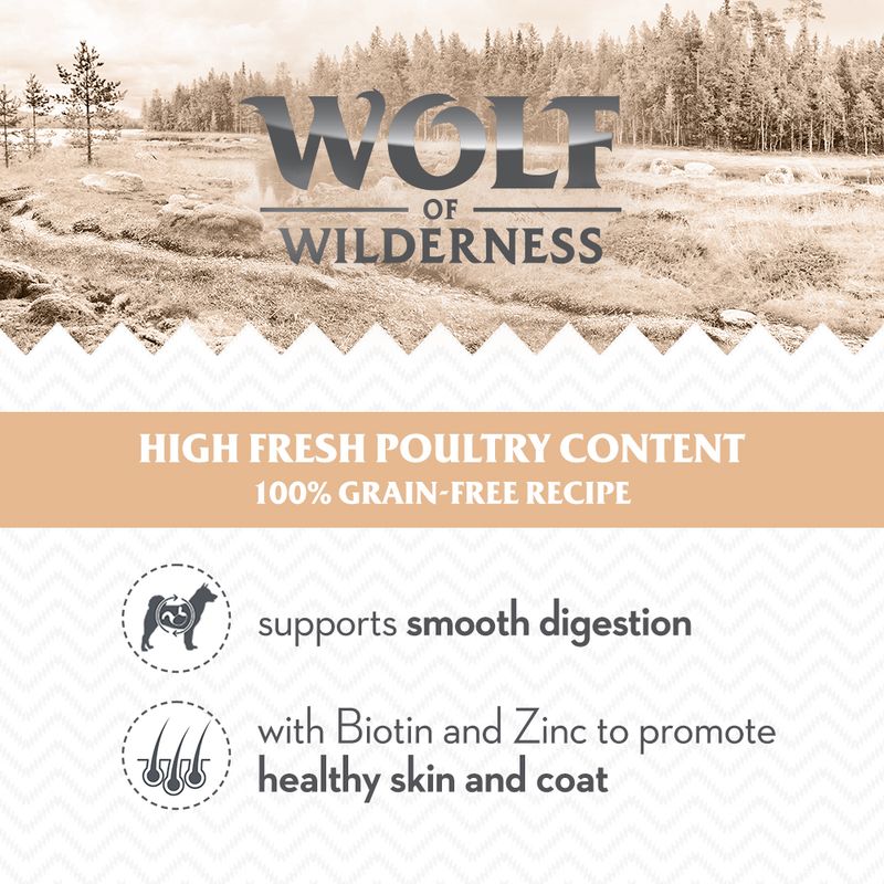 Wolf of Wilderness \