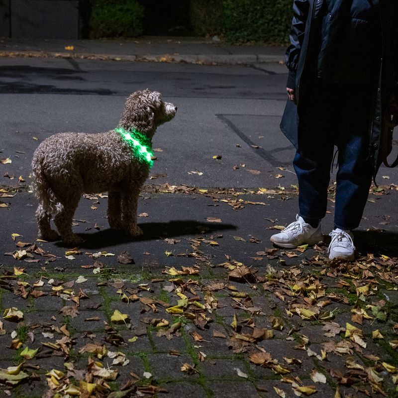 TIAKI Spark USB LED Silicone Collar Green