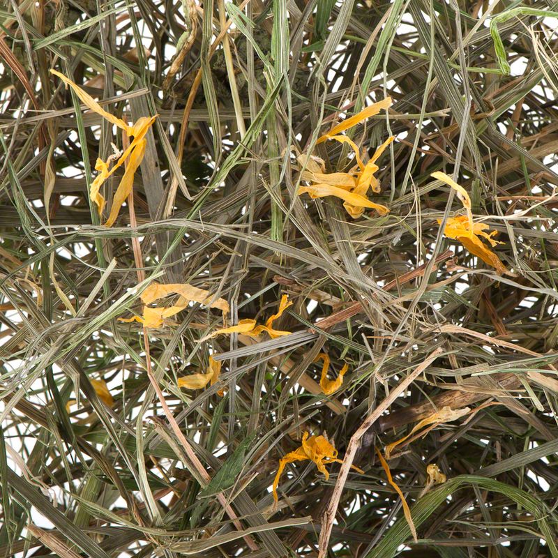 Lillebro Meadow Hay for Small Pets & Rabbits Wild Apple (1kg)