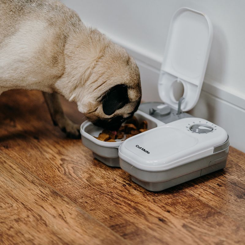 Cat Mate C200 Automatic Feeder 2-Meal Feeder