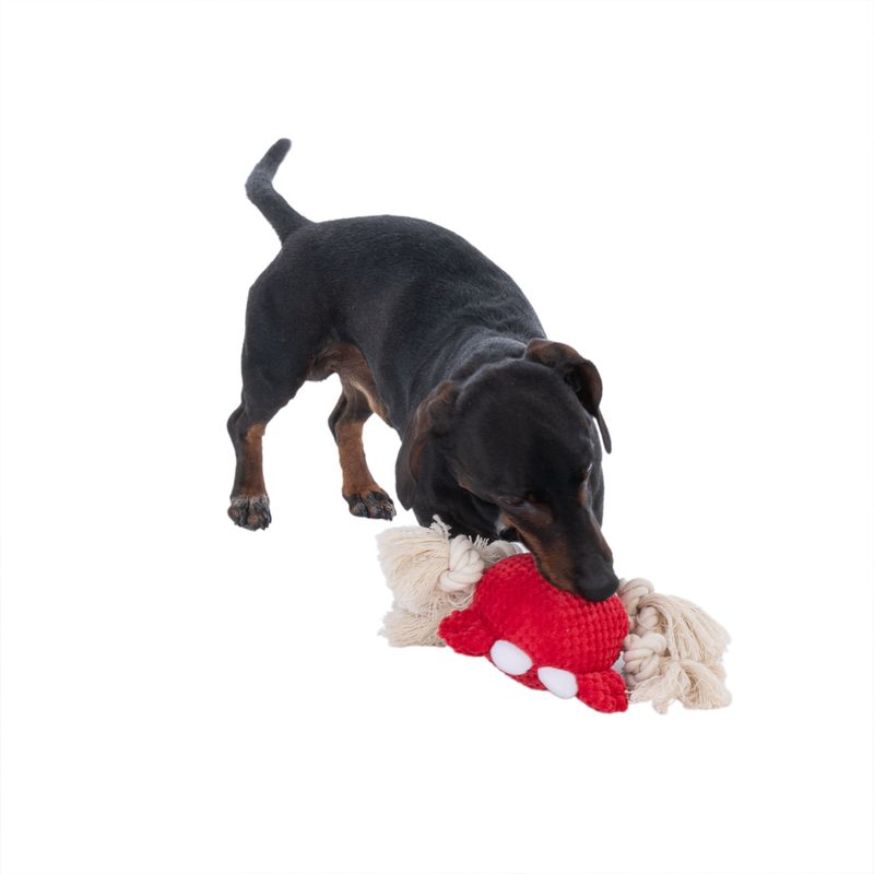 TIAKI Sebi Crab Dog Toy 1 Toy