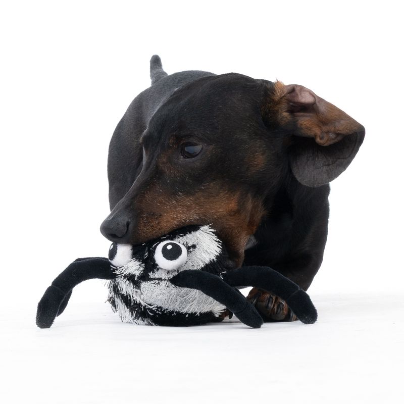 TIAKI Spider Stretch Ball diameter 22cm