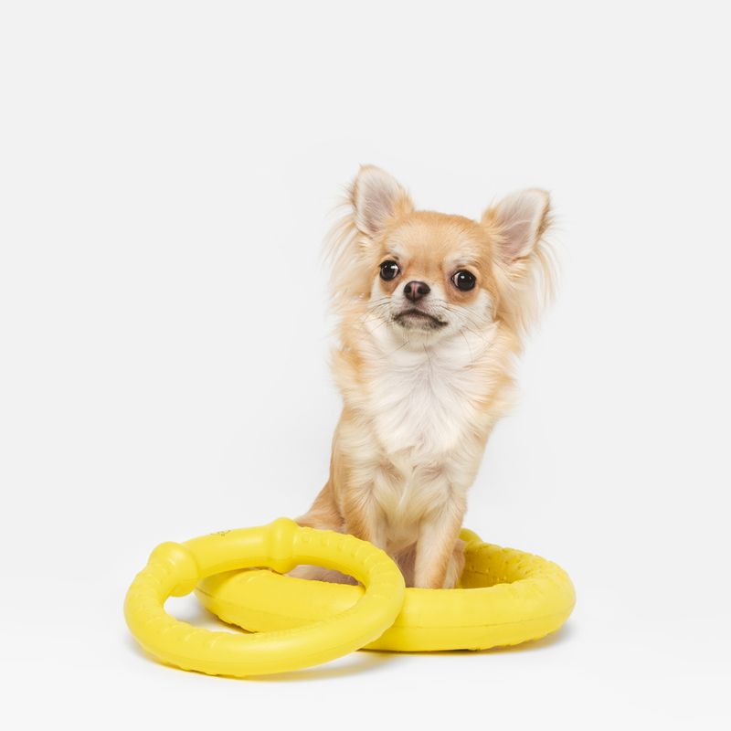 Nomad Tales Bloom Fitness Ring Size S: approx. Ø 18 cm