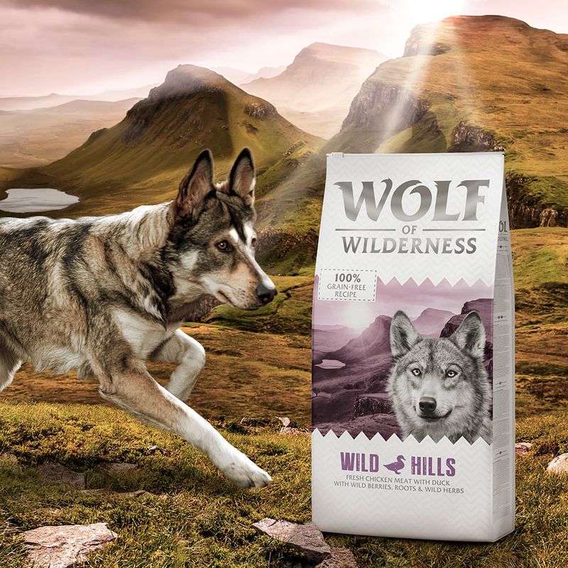 Wolf of Wilderness Grain-Free Trial Pack 1 x100g Wild Hills - Duck (100g)