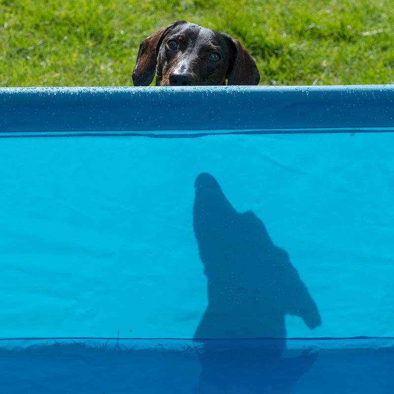 TIAKI Square Dog Pool 119 x 90 x 33cm (L x W x H)