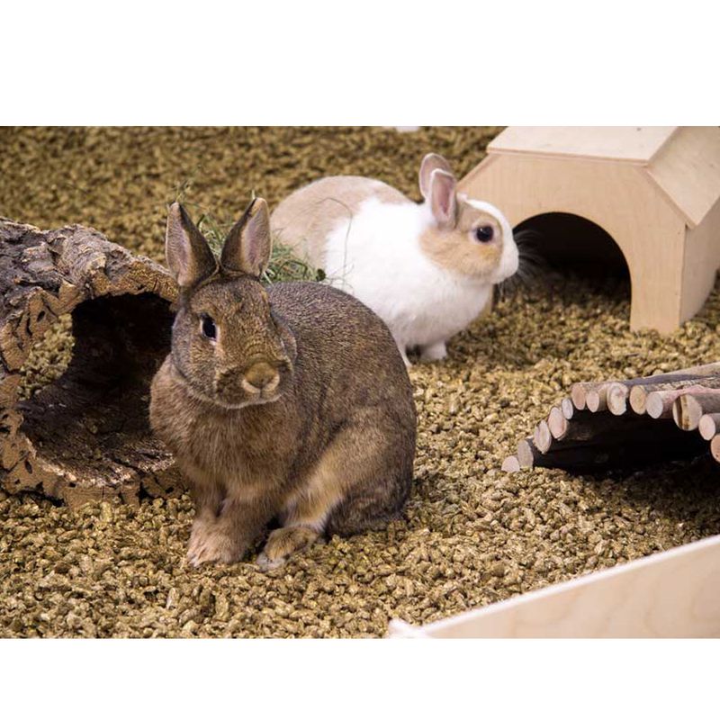 Bunny Bedding Cosy 20l