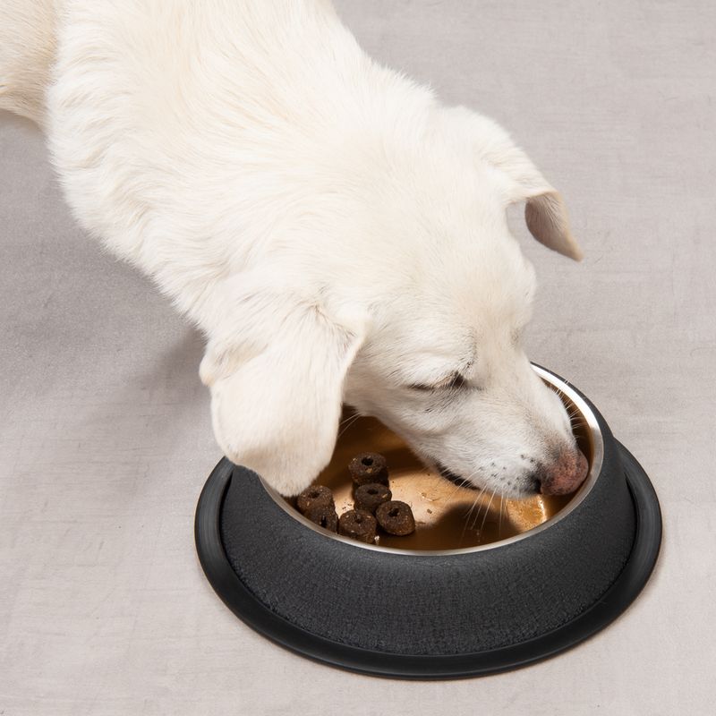 Modern Living El Dorado Food Bowl 200ml (15.5cm diameter)