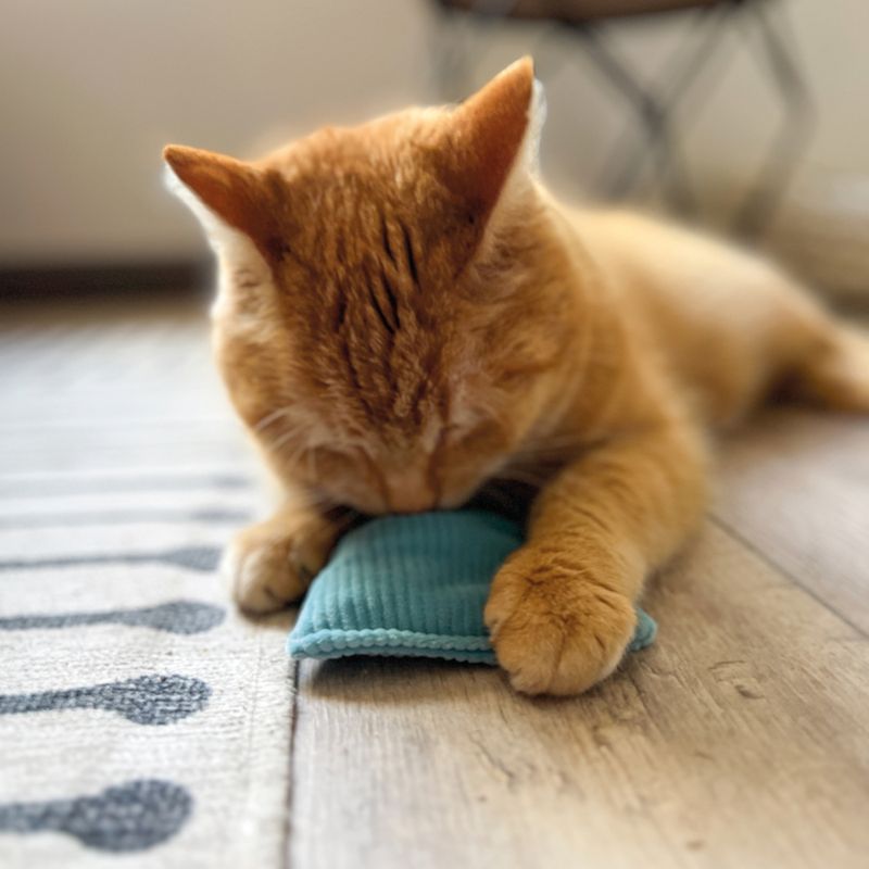 Aumüller Cord Cat Play Cushion Pastel 1 piece