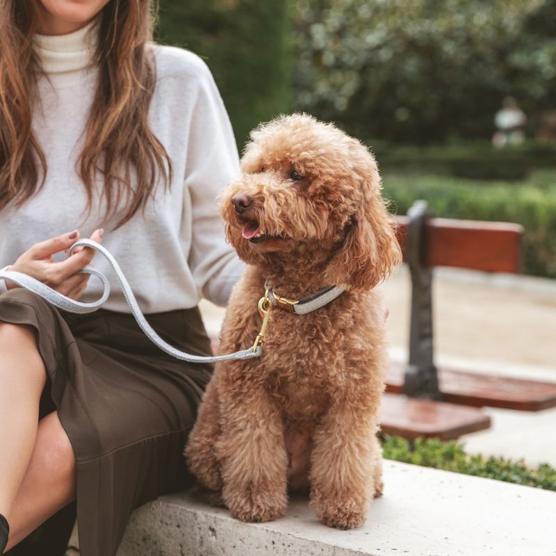 Nomad Tales Calma Collar, stone Size L: 39 - 64 cm neck circumference