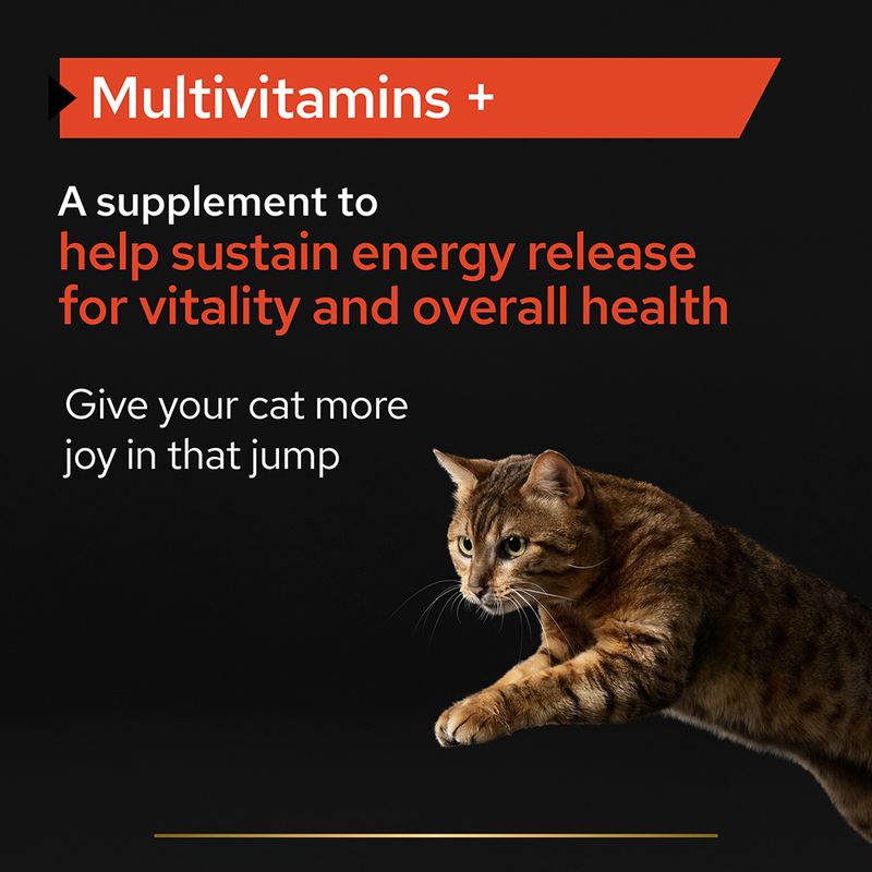 PRO PLAN Multivitamins Adult Cat Supplement Powder 60g