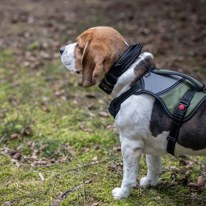 Rukka® Mission Harness – Olive Size L: 70 - 80cm chest circumference, W 25mm