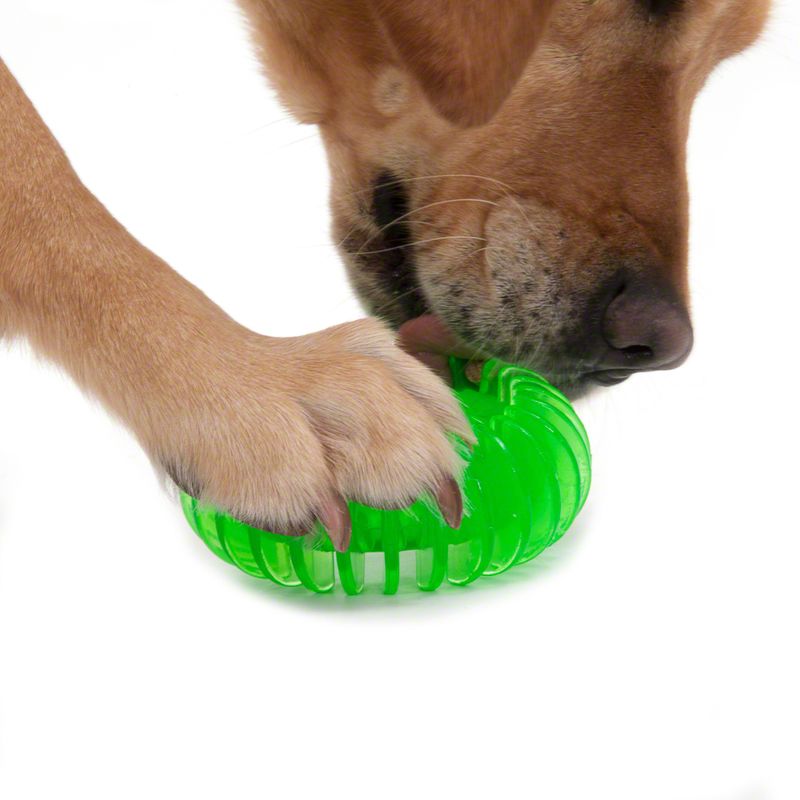 Thermoplastic Rubber Ring Dog Toy approx. Diameter 11.5cm