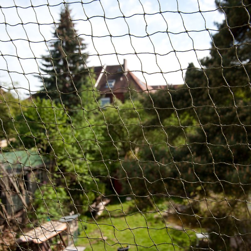 Cat Safety Net - Bite-Resistant & Wire-Reinforced 2 x 3m