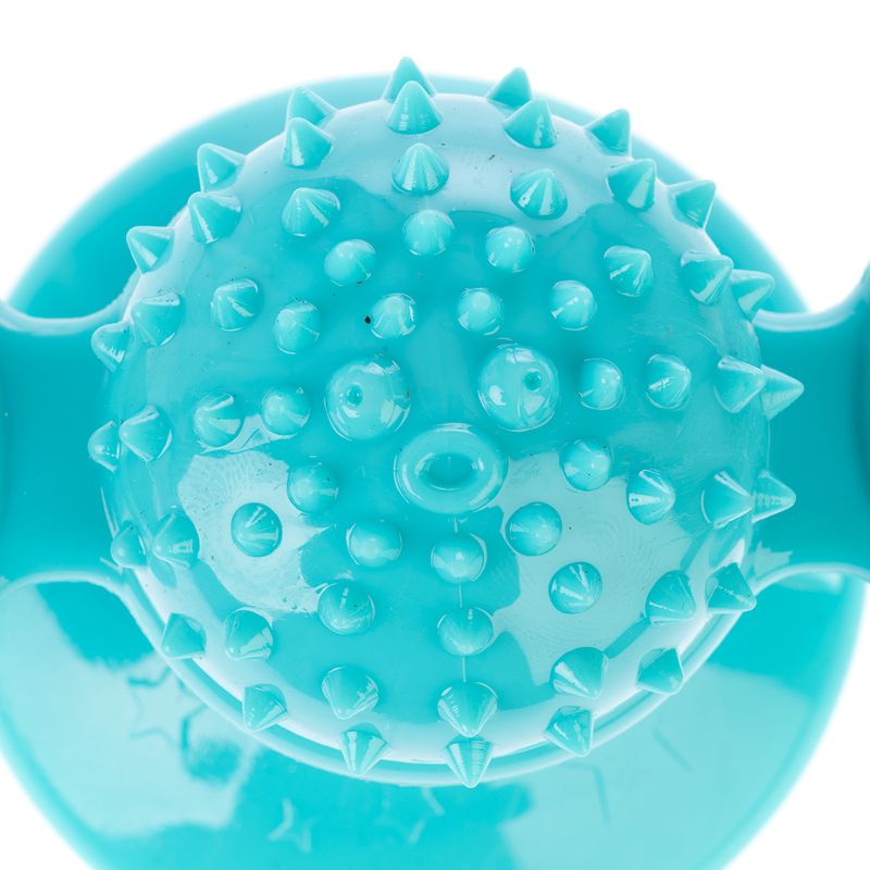 zooplus Basics Windmill with Catnip 1 Toy