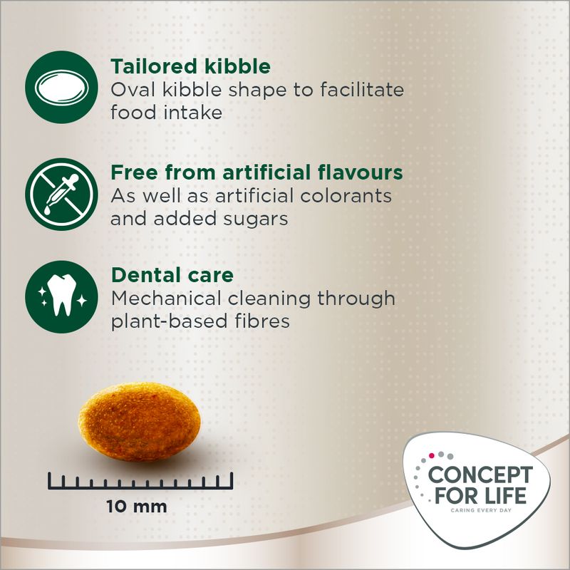 Concept for Life Persian Adult 400g