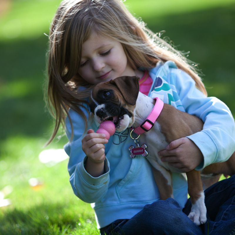 Puppy KONG XS - Pink