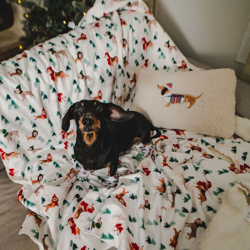 TIAKI Fun Winter Blanket for Dogs Set: Blanket for Dogs & Dog Pawrents