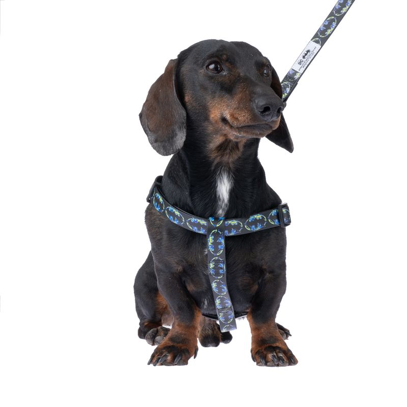 DC Batman Harness - Black Size S: Chest Circumference 39 - 51 cm