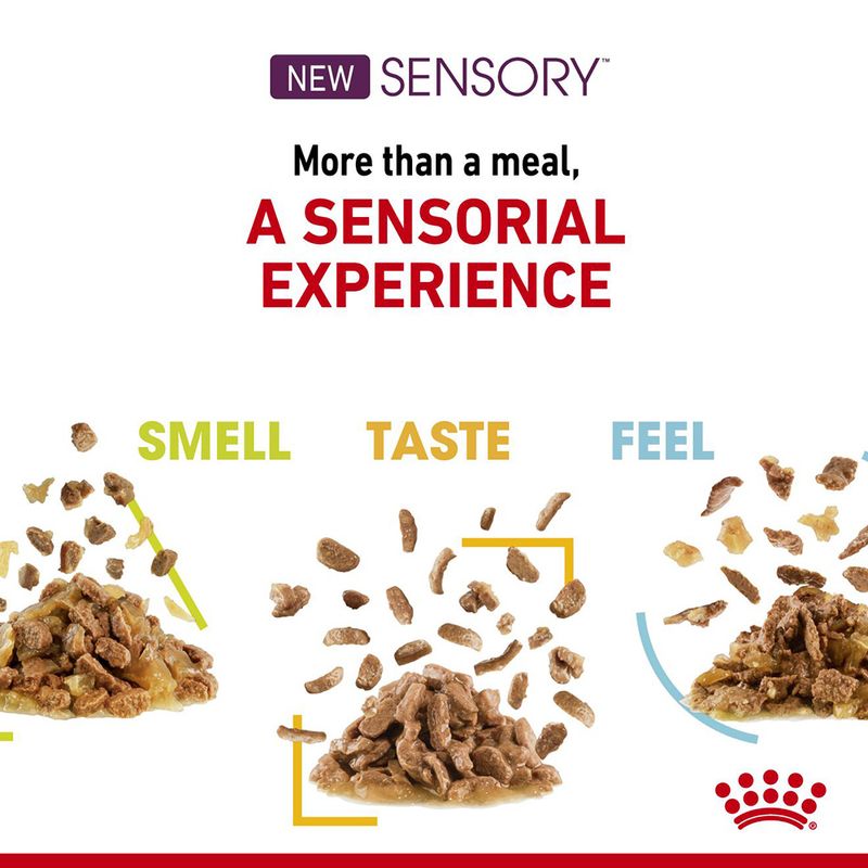 Royal Canin Sensory Taste in Jelly 12 x 85g