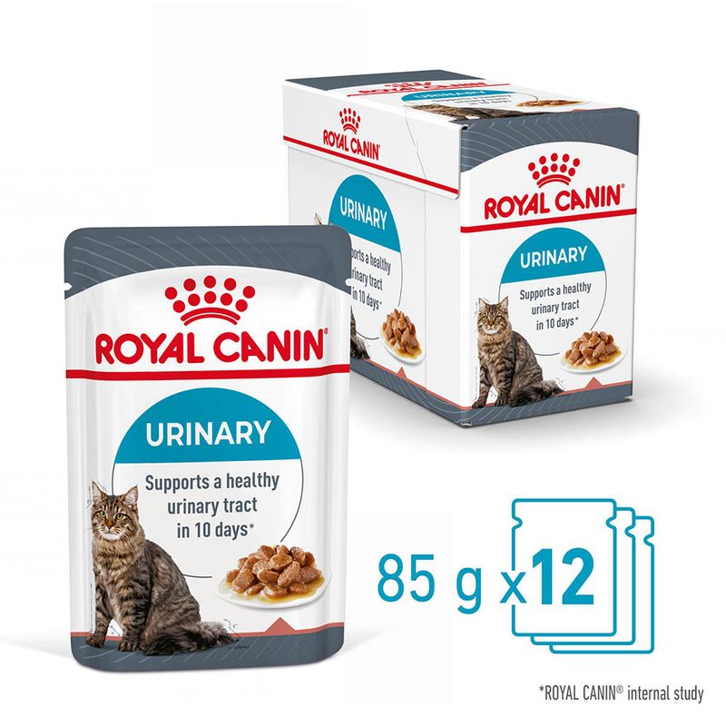 Royal Canin Urinary Care in Gravy 12 x 85g