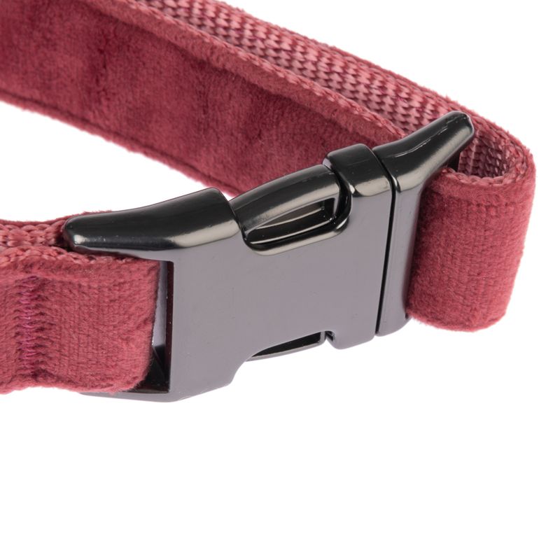 Nomad Tales Blush Collar, rosé Matching leash: 120 cm long, 15 mm wide