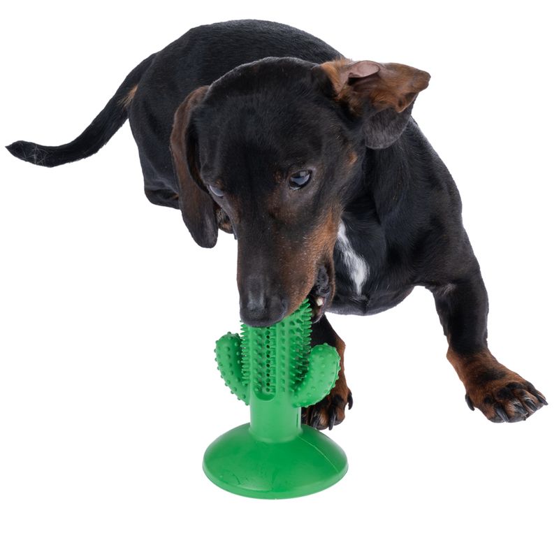 TIAKI Rubber Cactus Chew Toy diameter 9.5 x (H) 12 cm