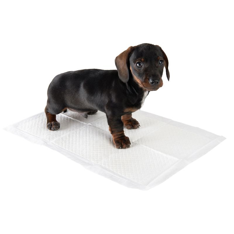 zooplus Puppy Trainer Pads 30 x Medium Pads: 45 x 30 cm (L x W)