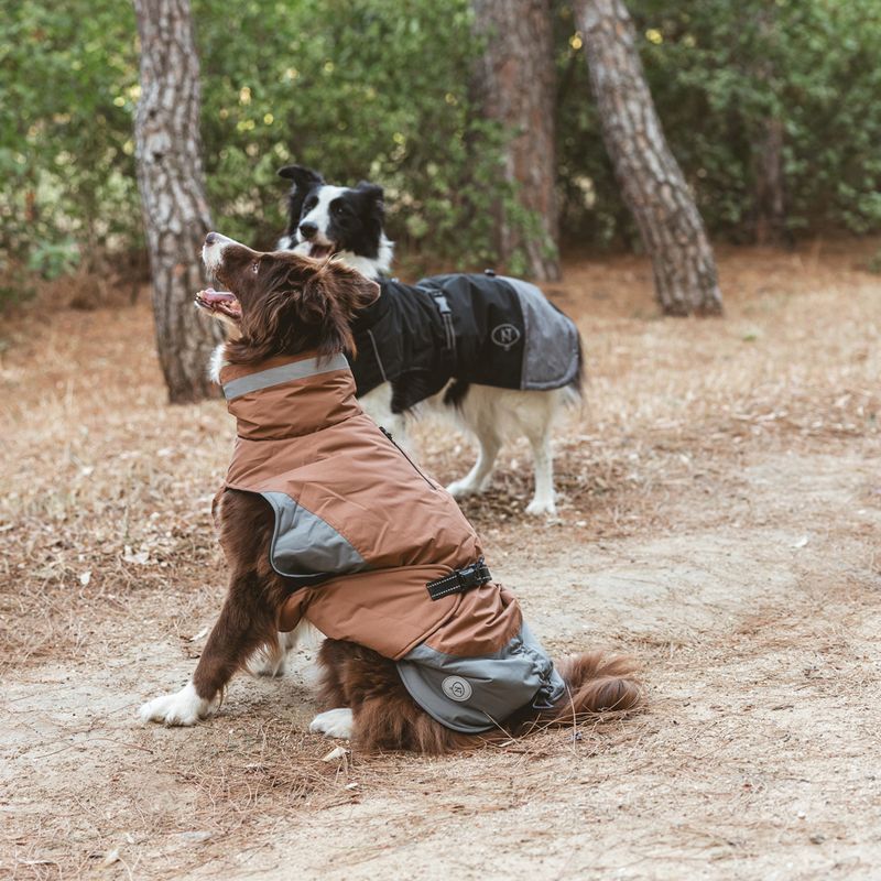 Nomad Tales Bloom Dog Coat - Warm Taupe approx. 30cm (Back Length)