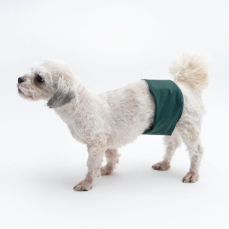 kooa Washable Nappy for Male Dogs Size S