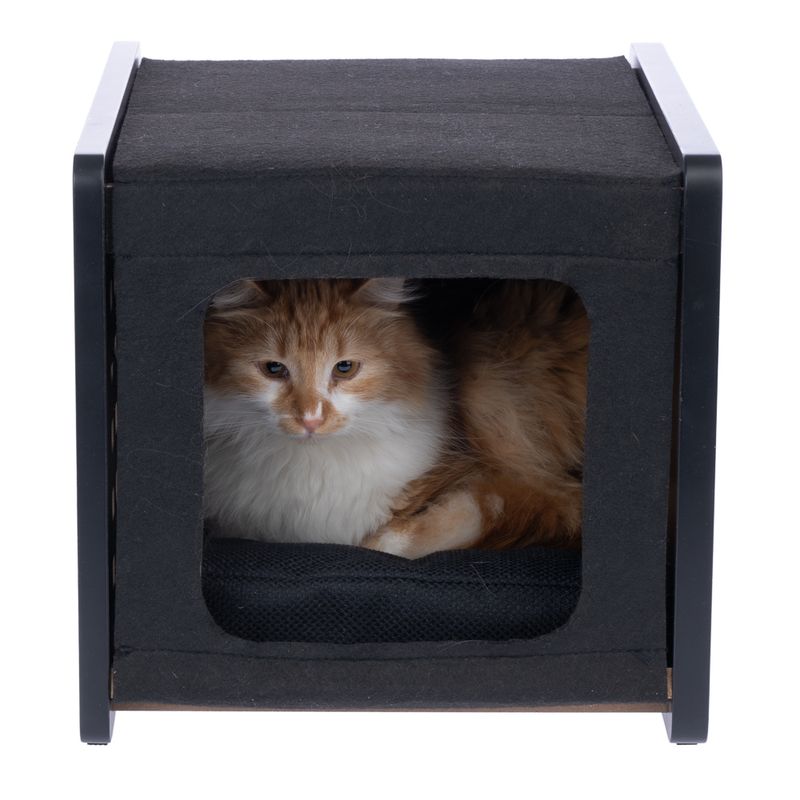 Modern Living San Francisco Den Black