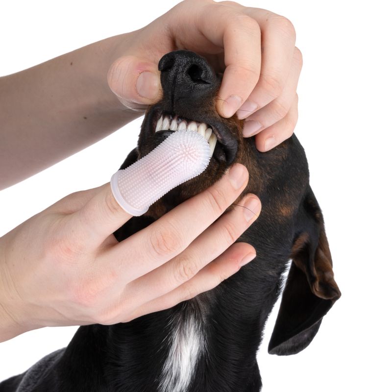 kooa Silicone Dental Care Finger 5cm (L), 1 finger