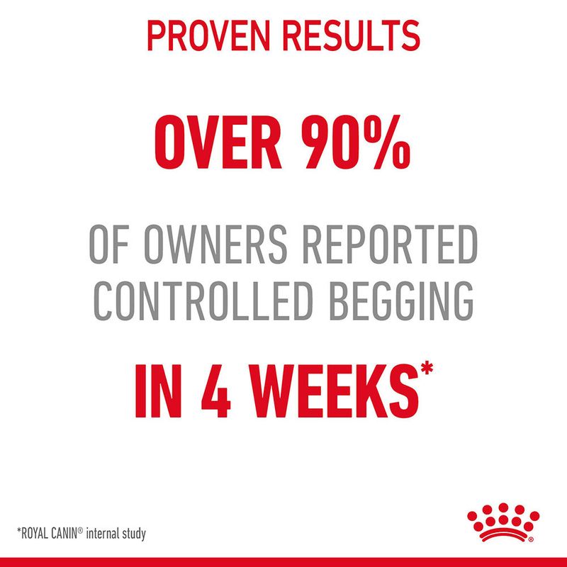 Royal Canin Appetite Control Care in Jelly 12 x 85g