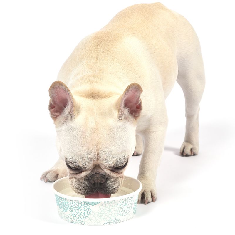 Arm & Hammer Fresh Coconut Water Dental Care 473ml