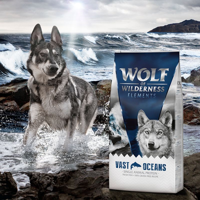 Wolf of Wilderness Sensitive Adult \