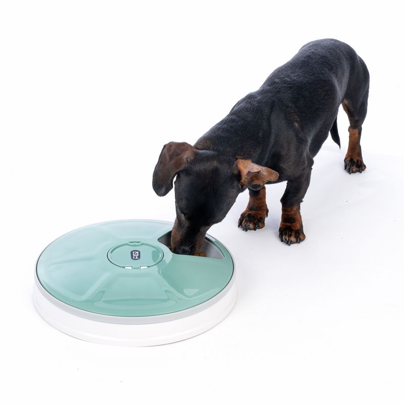 TIAKI Automatic Feeder 6 x 70g