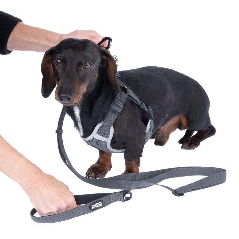 TIAKI Grey Harness Size XS: approx. 38 - 54 cm Chest Circumference