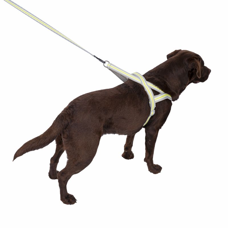 TIAKI No-pull harness S: approx. 55-65 cm chest circumference