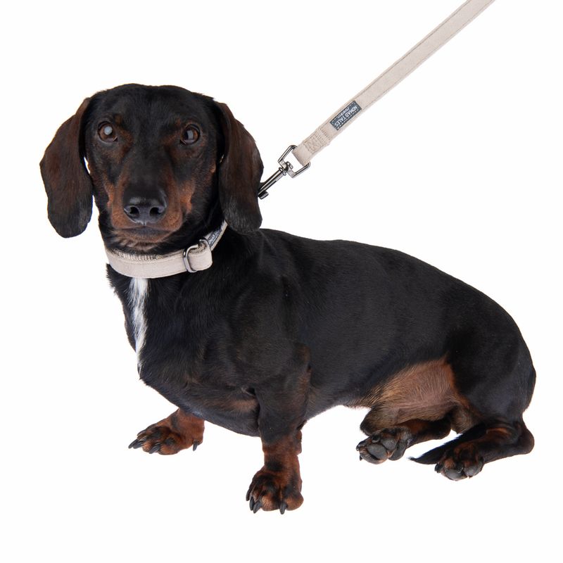 Nomad Tales Blush Necklace, taupe Size XS: 24 - 36 cm neck circumference, W 10 mm