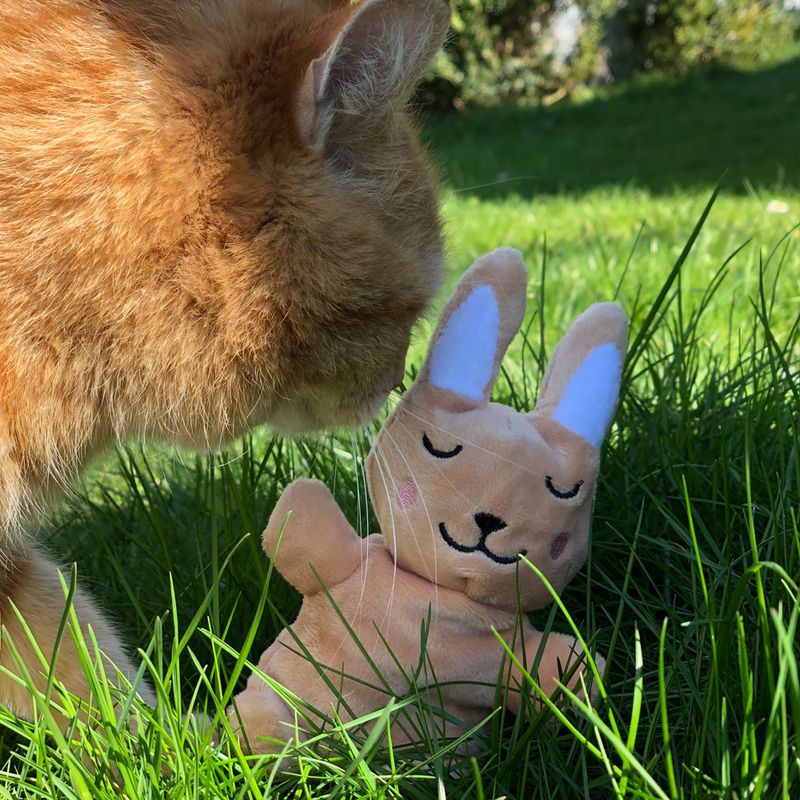 Aumüller Valerian Cuddly Bunny 1 toy