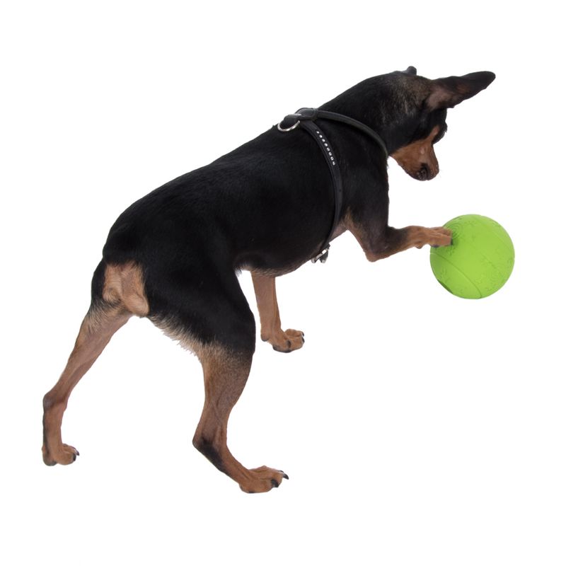 Snack Ball Dog Toy Diameter 10.5cm
