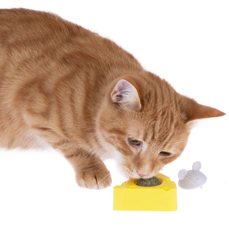 TIAKI cat toy catnip cheese 6.5 x 6.3 x 4.6 cm