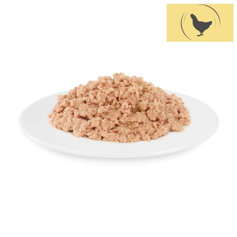 Briantos Delicious Paté 12x100g Chicken