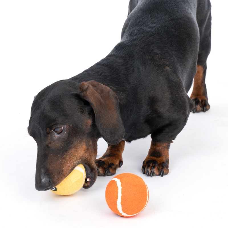 TIAKI Tennis Ball Set Set of 4 (approx. diameter 5cm)