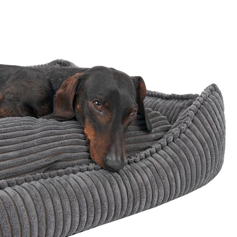 Modern Living Dog Bed Helena L: 65 x W x H 60 x 18 cm, beige