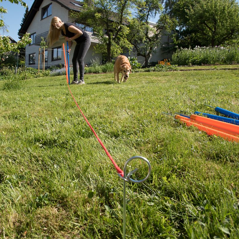 Agility Fun & Sport Slalom Set 12-pack