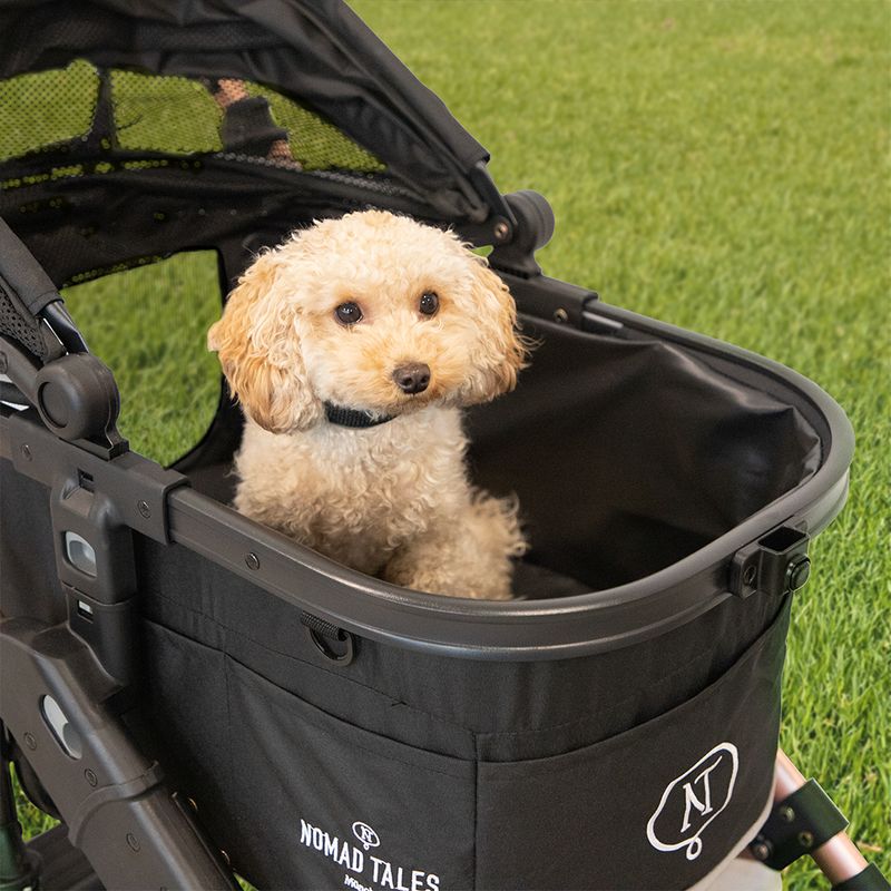 Nomad Tales Calma Pet Stroller - Rose Gold Up to 15kg: 82 x 65 x 102 cm (L x W x H)