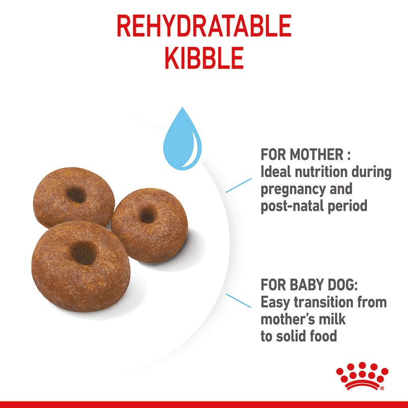 Royal Canin Giant Starter Mother & Babydog 15kg