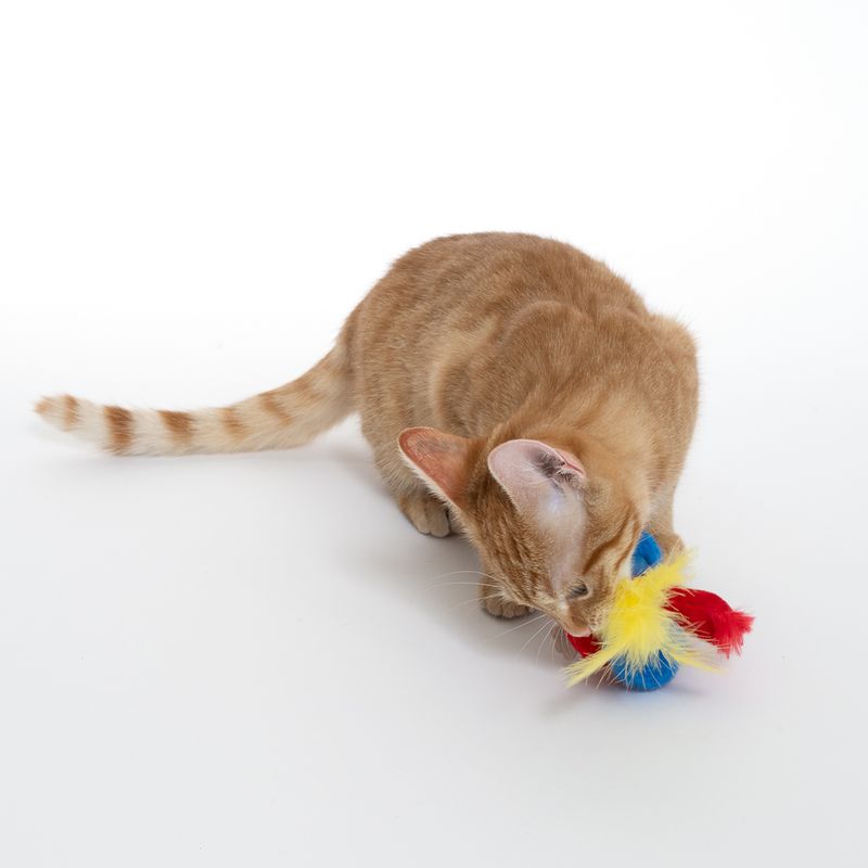 TIAKI Paquita Electronic Cat Toy 1 Toy