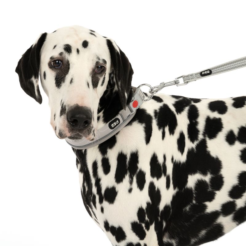 TIAKI Collar Soft & Safe, grey matching leash: 200 cm long, 20 mm wide